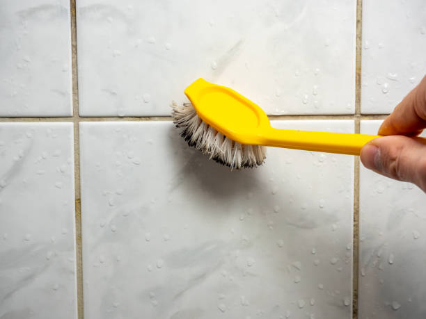 Best Toxic Mold Removal  in Topaz Ranch Estates, NV