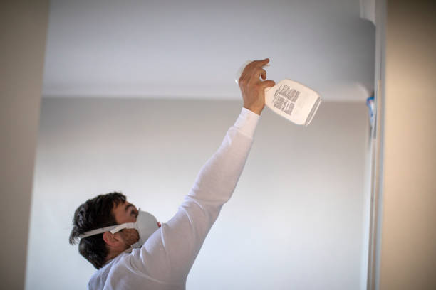 Mold Testing and Removal in Topaz Ranch Estates, NV