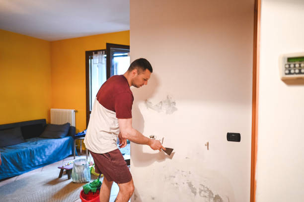 Best Certified Mold Removal  in Topaz Ranch Estates, NV